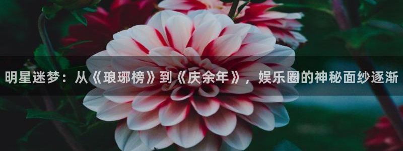 恒盛娱乐登录