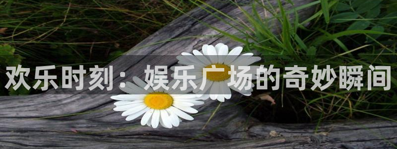 恒盛娱乐下载