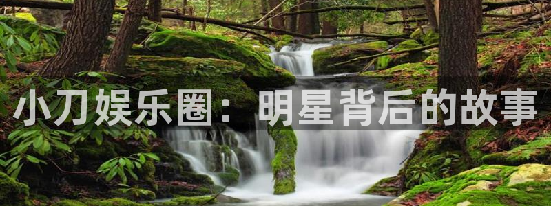 恒盛娱乐登录