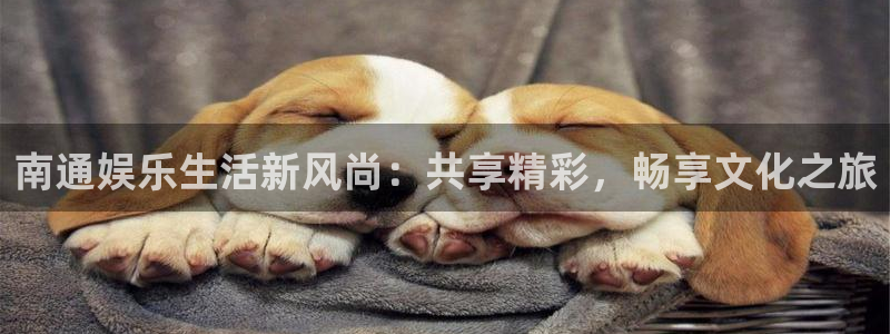 恒盛娱乐下载