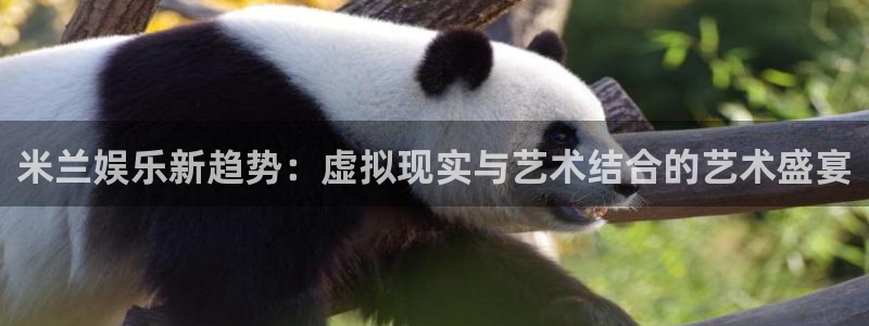 恒盛娱乐
