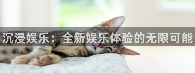 恒盛娱乐登录